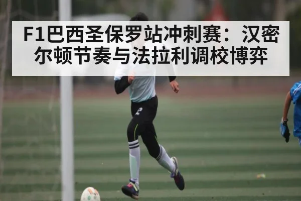 F1巴西圣保罗站冲刺赛：汉密尔顿节奏与法拉利调校博弈